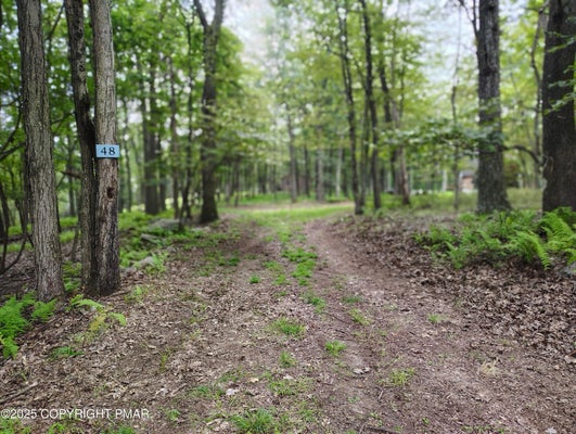 48 MOUNTAIN TER, WHITE HAVEN, PA 18661 - Image 54f7311d7f6fd79a4e45a4335d8621b9/3546217846