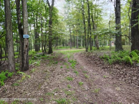 Vacant Land For Sale - LOT 48 Mountain Terrace<br/> White Haven, PA 18661
