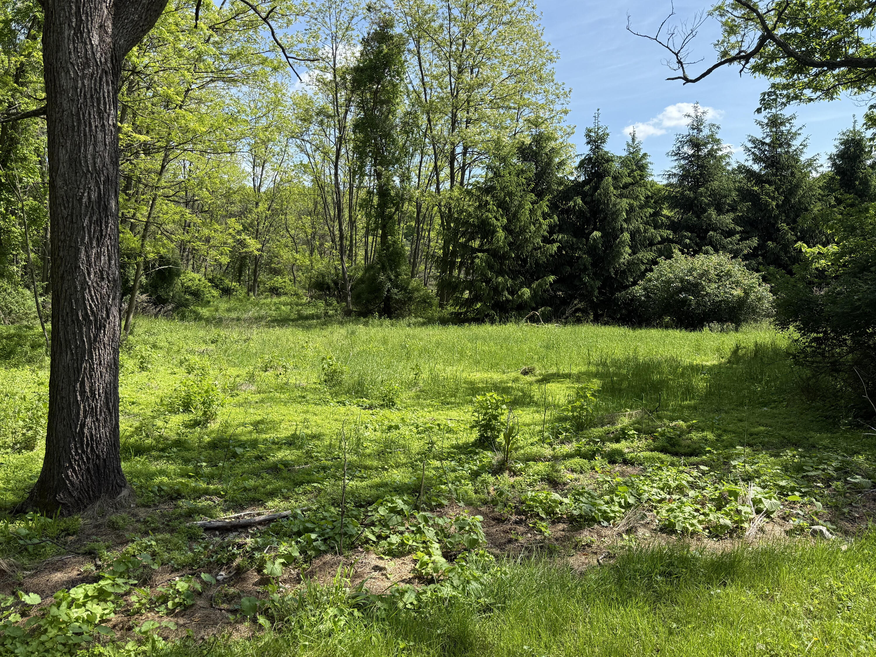 417 Lower Swiftwater Road, Cresco, Pennsylvania image 21