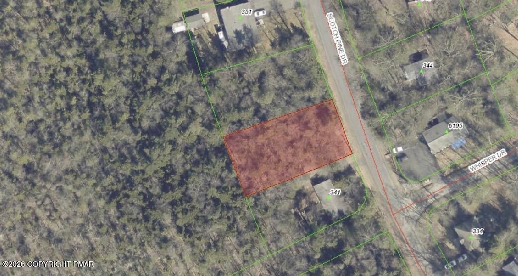 341 Scotch Pine (Hemlock Dr,#1202) Drive