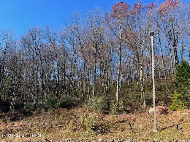 2235   Lot Camelback Drive, Tannersville, Pennsylvania image 2
