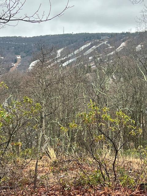 2235   Lot Camelback Drive, Tannersville, Pennsylvania image 3
