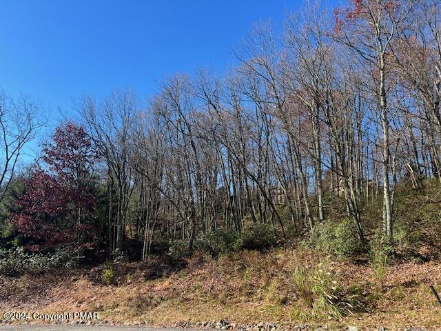 2235   Lot Camelback Drive, Tannersville, Pennsylvania image 3