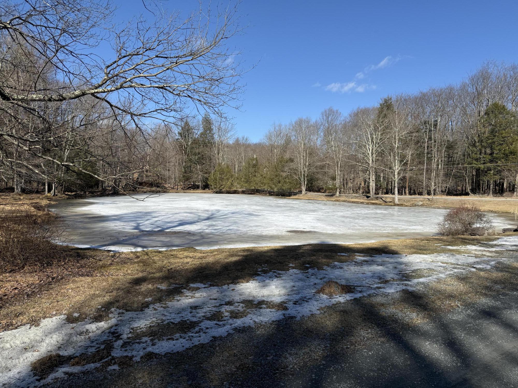SkyView Lakes Oakwood Drive, Greentown, Pennsylvania image 19