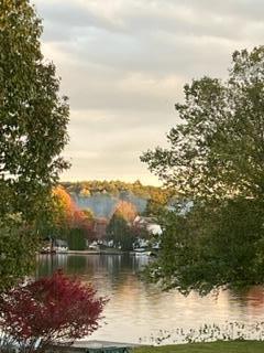 32 Shore Drive, Tunkhannock, Pennsylvania image 29