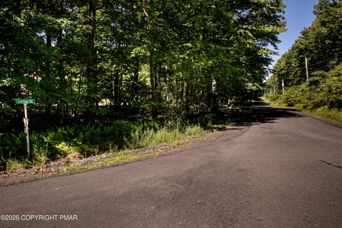 Vacant Land For Sale - LOT 464 Caribou Road<br/> Pike County, Dingmans Ferry, PA 18328