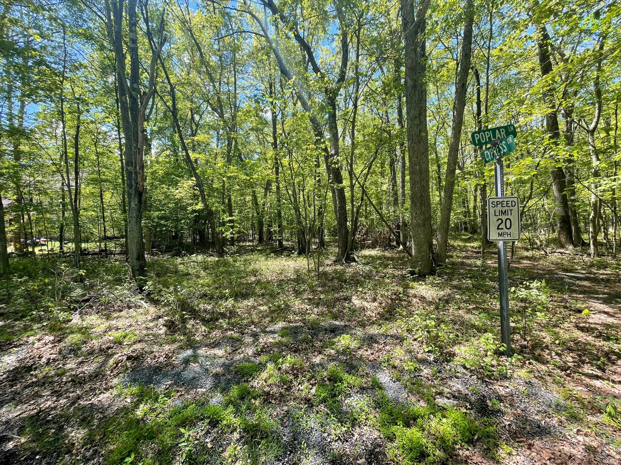 A309 Poplar Drive, Jim Thorpe, Pennsylvania image 1