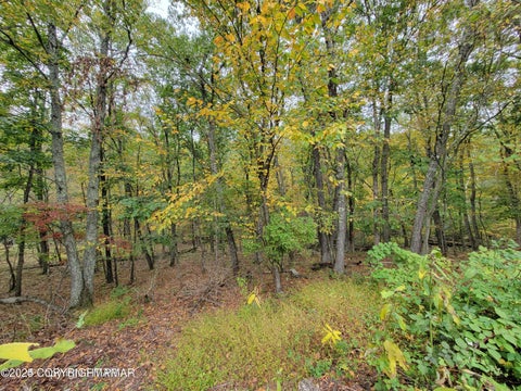 Vacant Land For Sale - 16 & 17 Summit Dr Drive<br/> East Stroudsburg, PA 18302