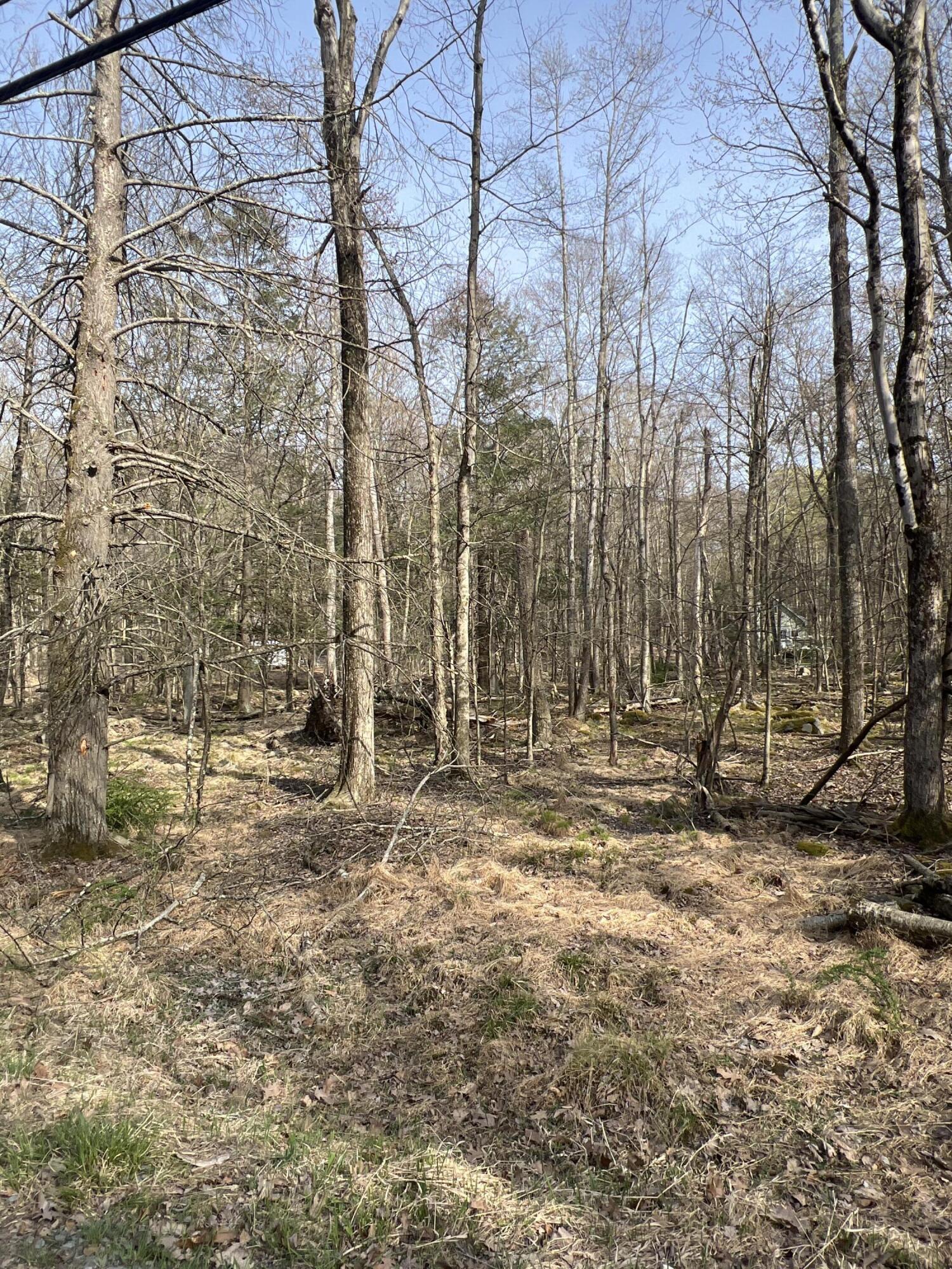 Lot 720 Elk Run Road, Pocono Lake, Pennsylvania image 4