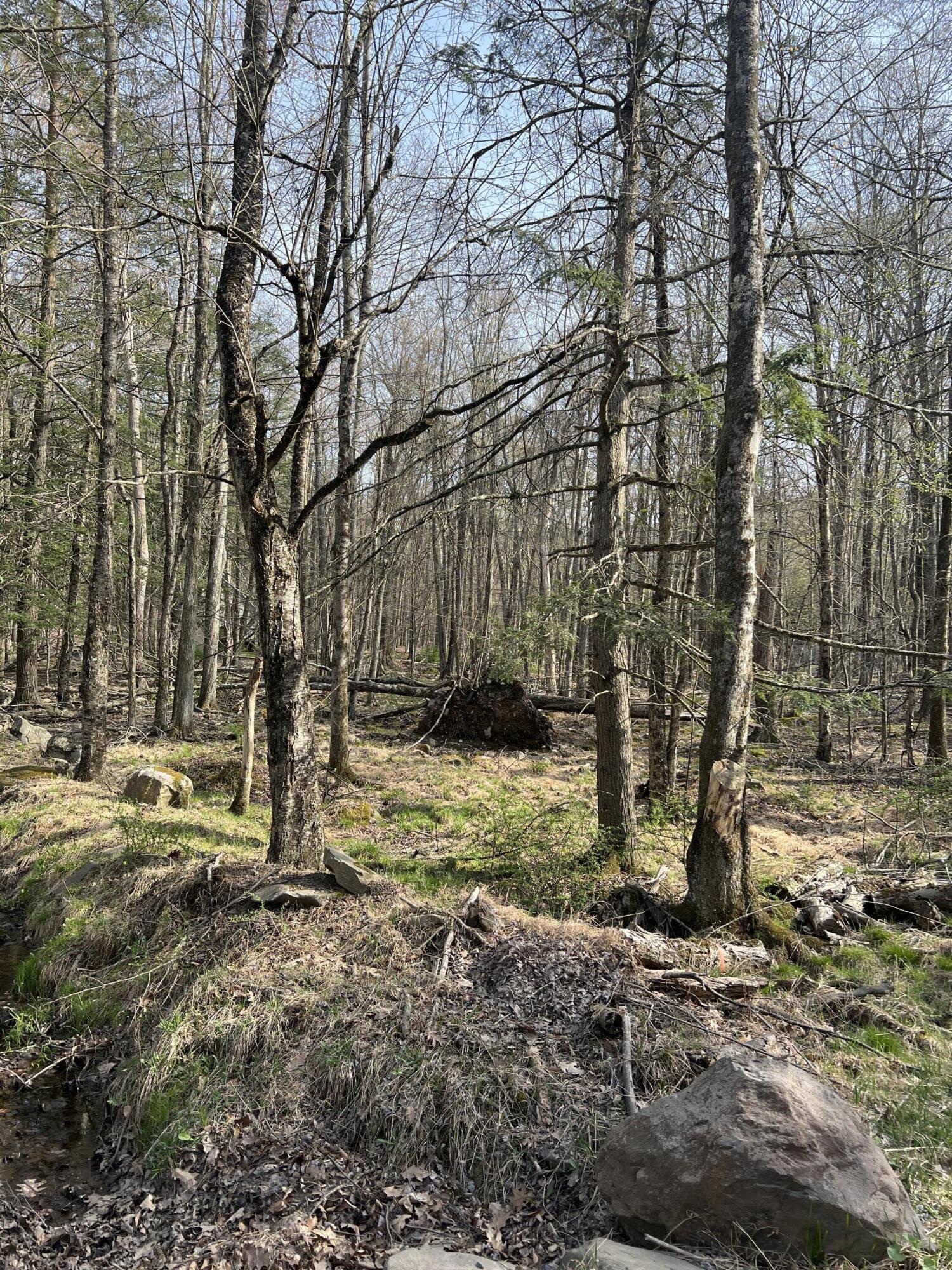 Lot 720 Elk Run Road, Pocono Lake, Pennsylvania image 5