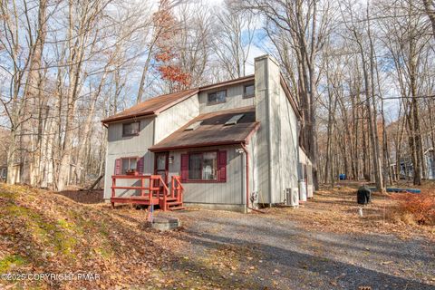 151 Towanda Trail Pocono Lake PA 18347