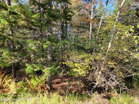 LOT 18& 19 Louis Lane Gouldsboro PA 18424