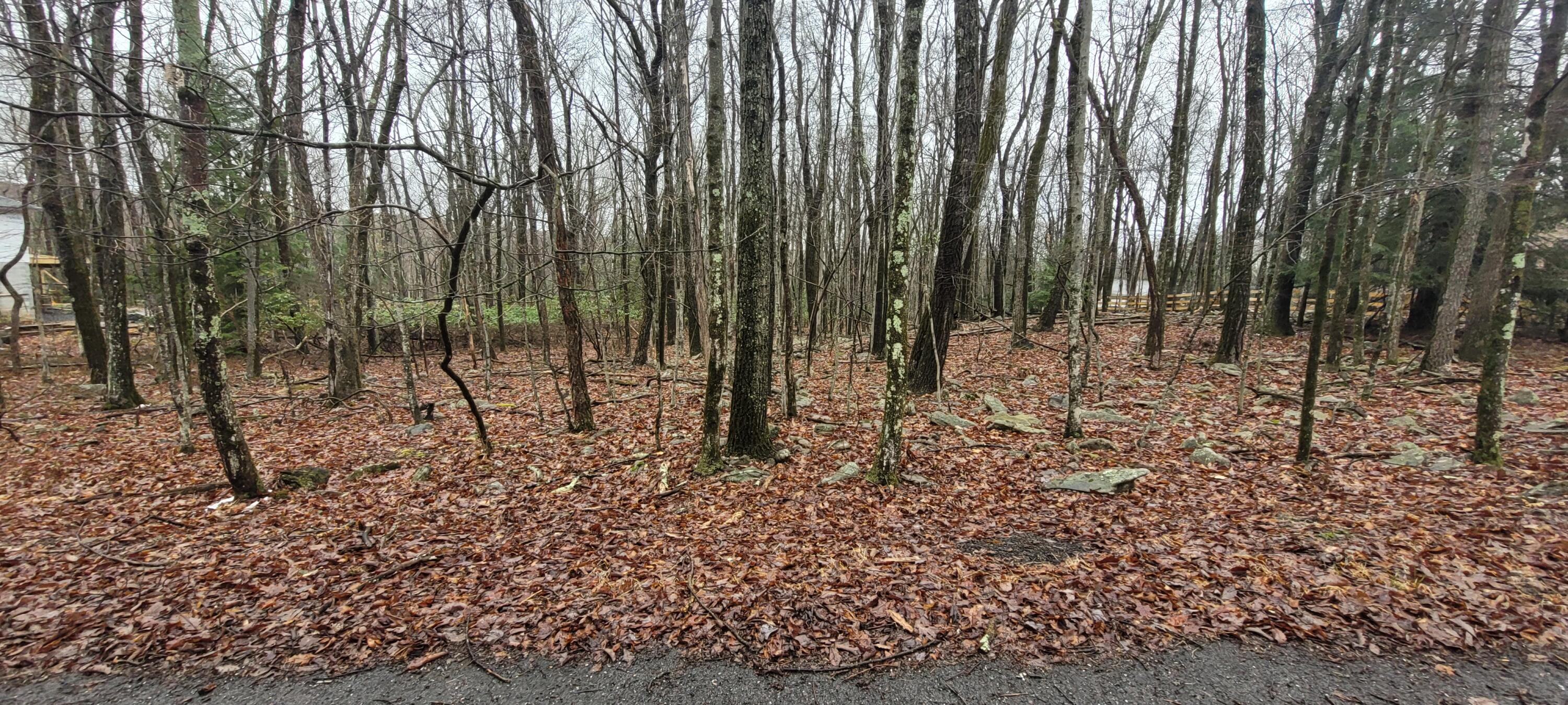 A384 Sunset Drive, Jim Thorpe, Pennsylvania image 3