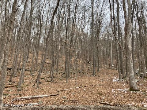 Vacant Land For Sale - Lr 45017 Marshalls Creek Road<br/> Monroe County, East Stroudsburg, PA 18302