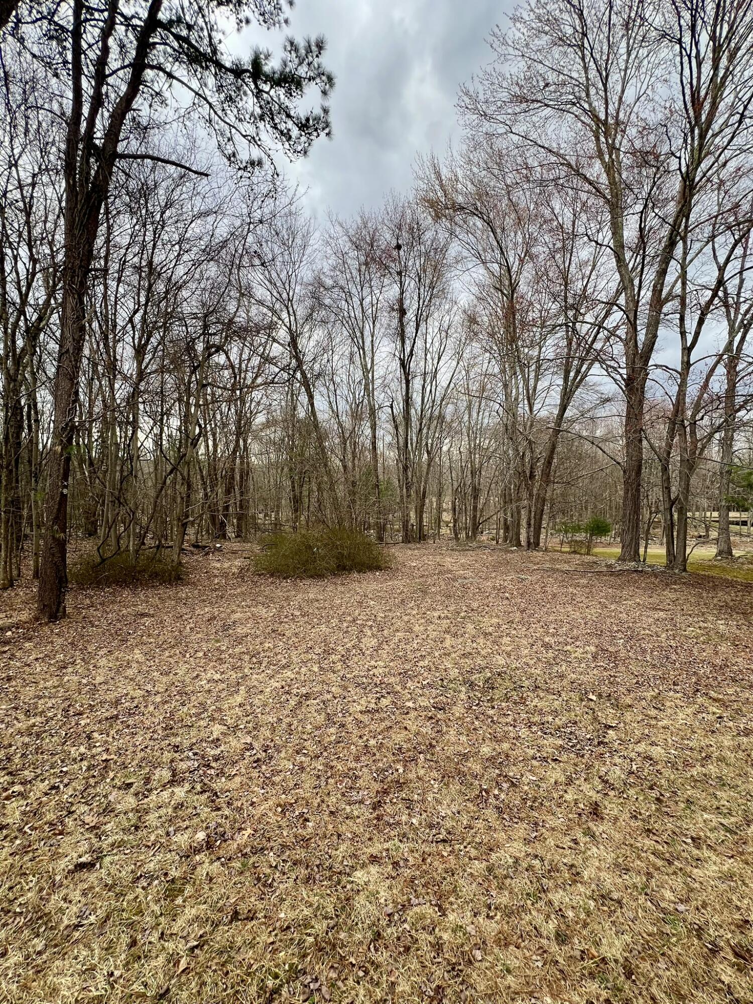 697 Wooddale Road, East Stroudsburg, Pennsylvania image 34