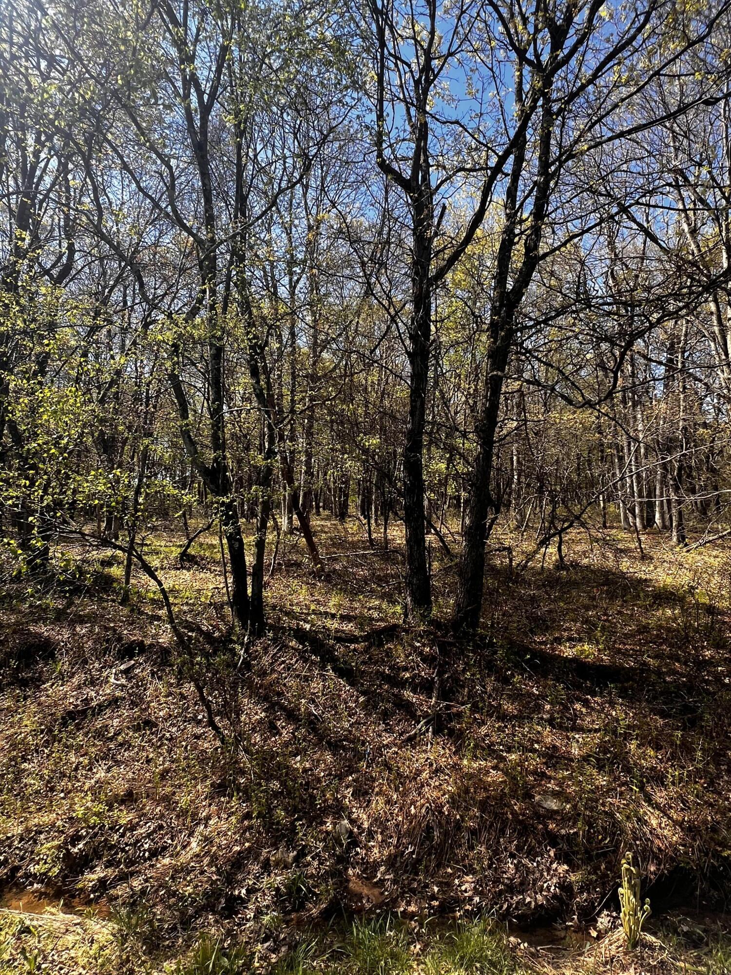 Lot 5916 Wild Laurel Drive, Long Pond, Pennsylvania image 3