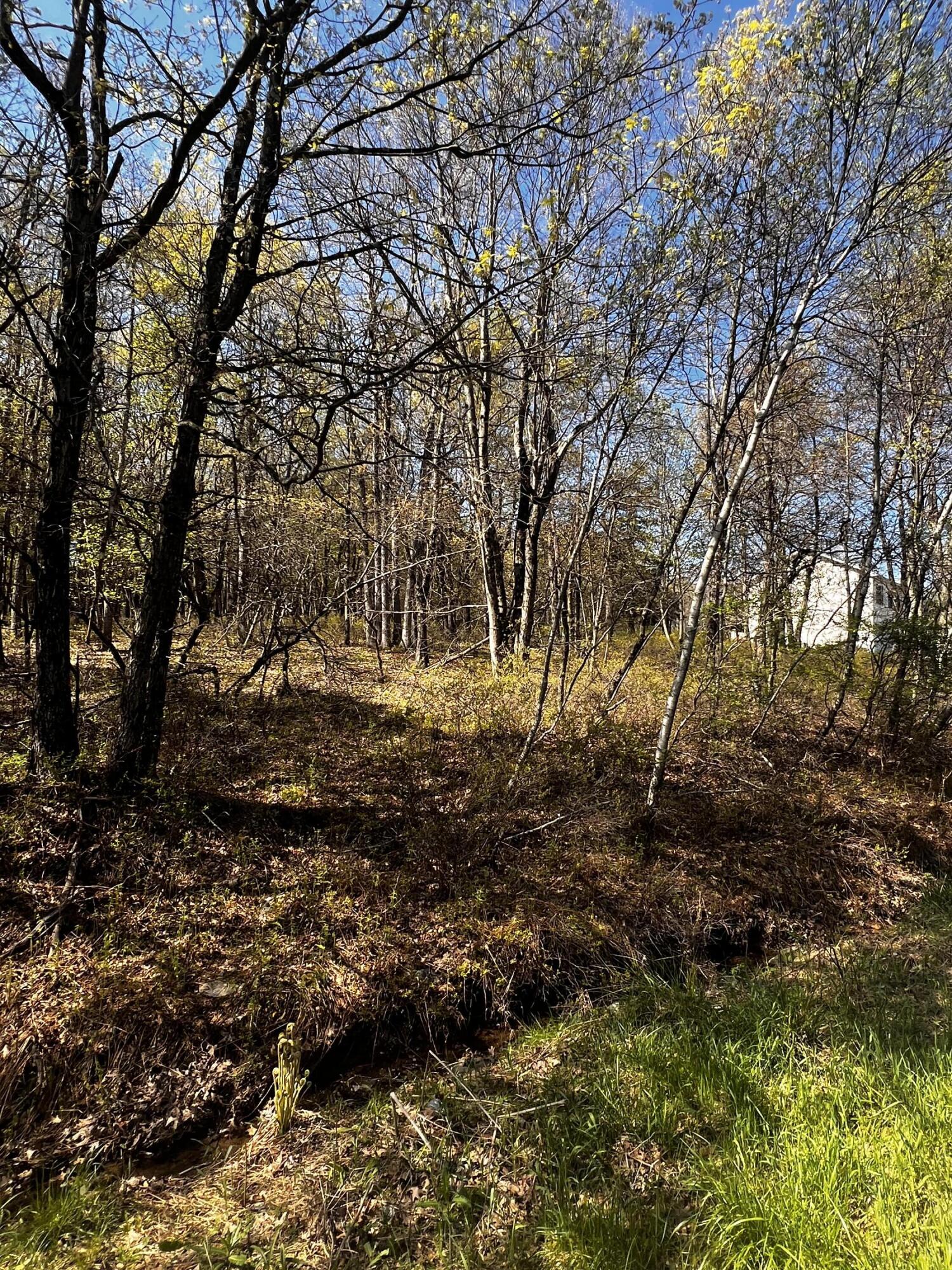 Lot 5916 Wild Laurel Drive, Long Pond, Pennsylvania image 2