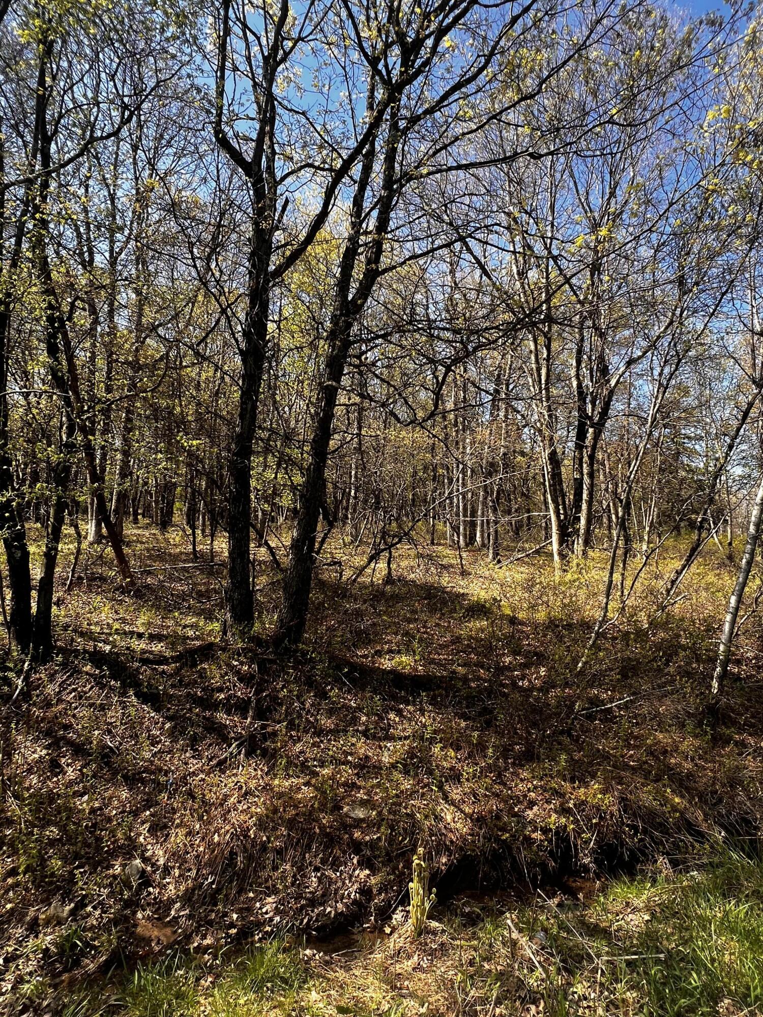 Lot 5916 Wild Laurel Drive, Long Pond, Pennsylvania image 5