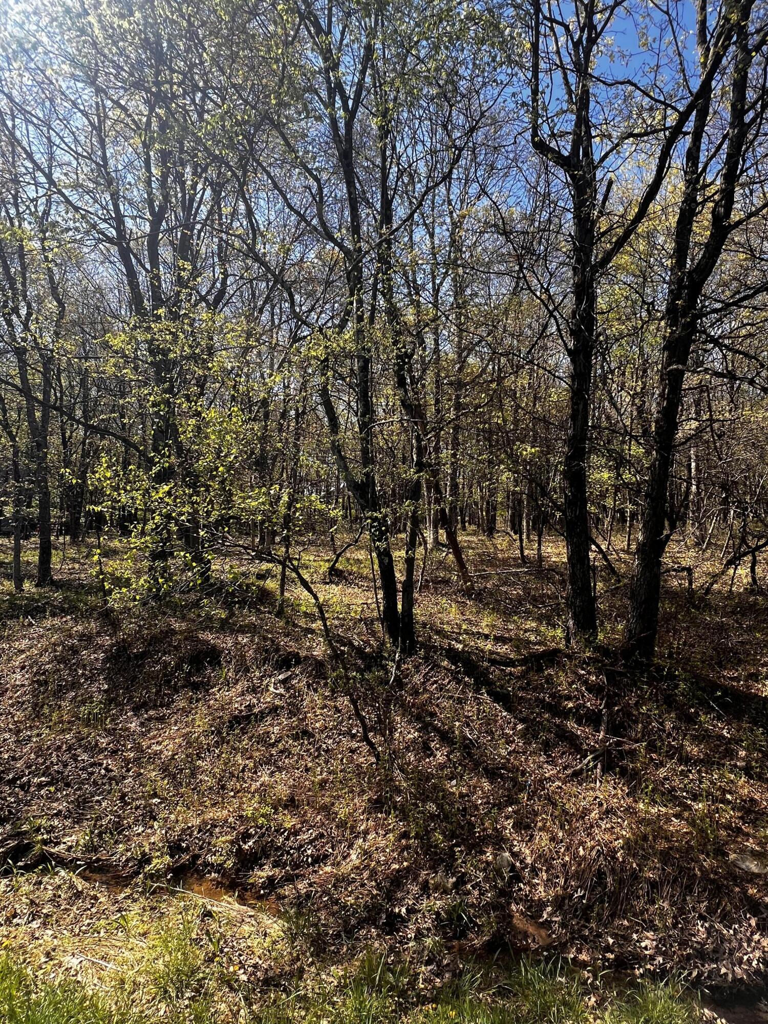 Lot 5916 Wild Laurel Drive, Long Pond, Pennsylvania image 4