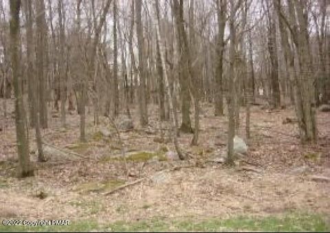 51 Birch Blakeslee PA 18610