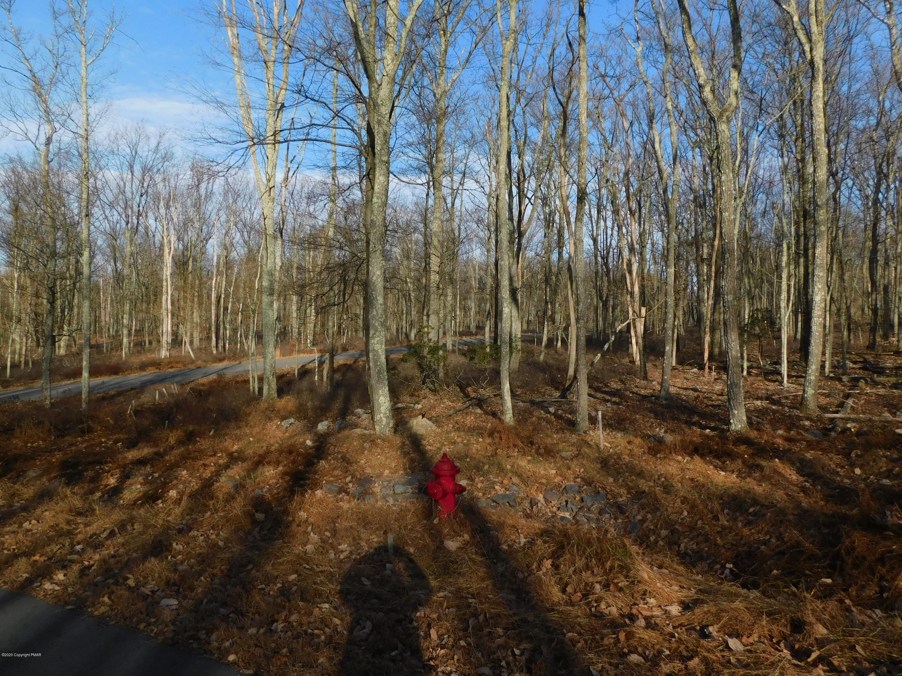 Hf-341 Hidden Forest, Hazleton, Pennsylvania image 4