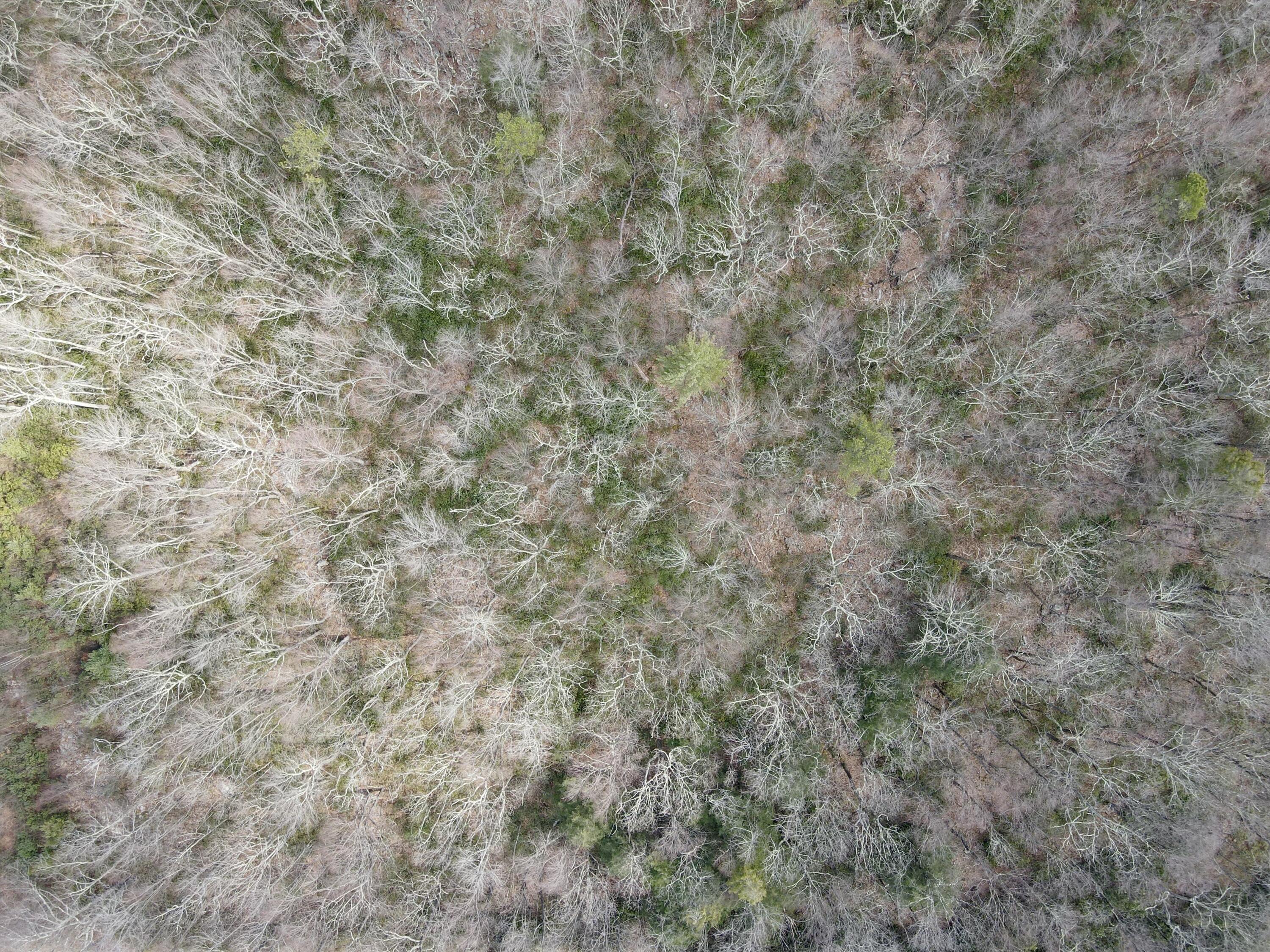 Lot 29 & 3 Stony Mountain Road, Jim Thorpe, Pennsylvania image 13