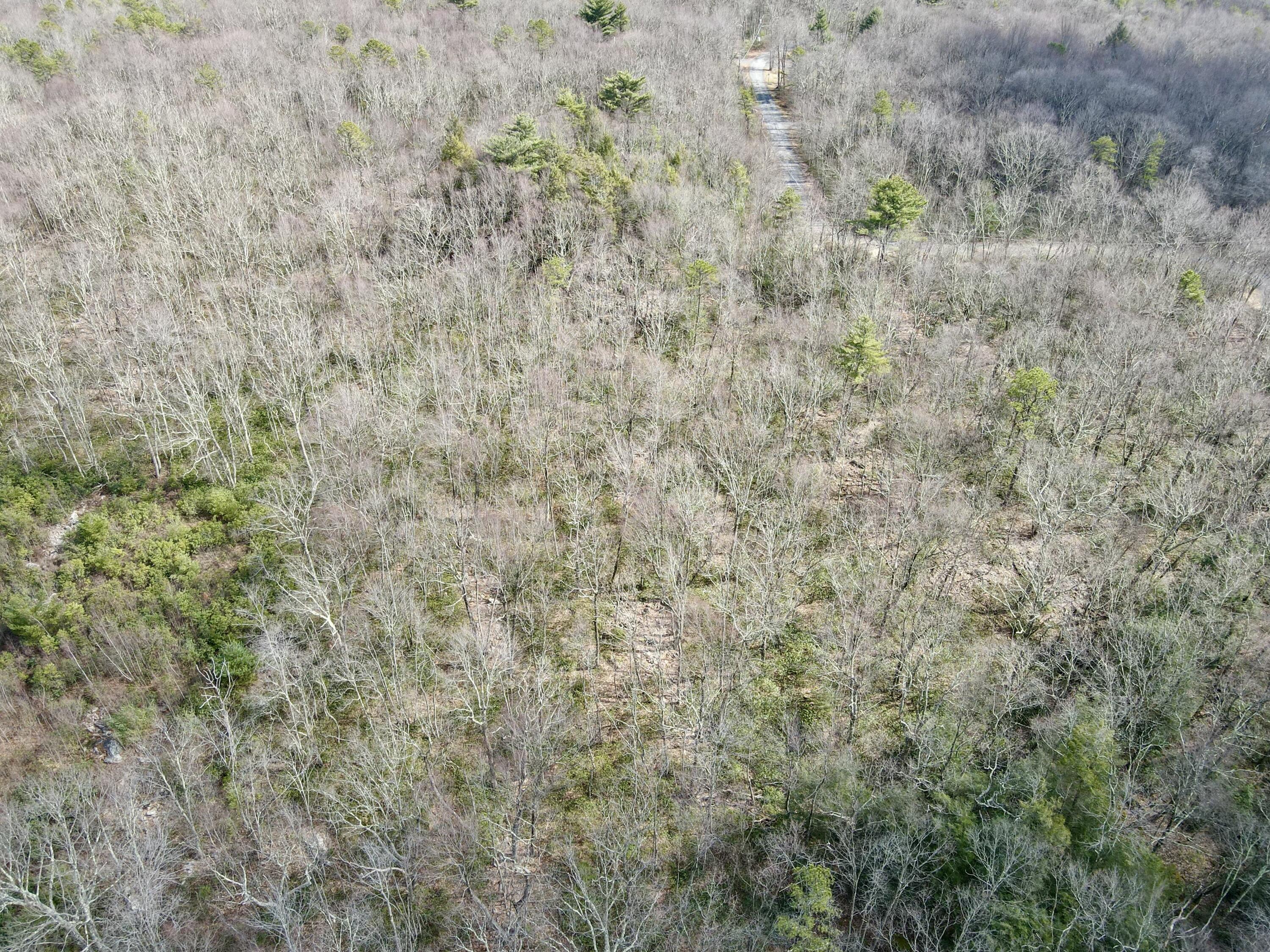Lot 29 & 3 Stony Mountain Road, Jim Thorpe, Pennsylvania image 9