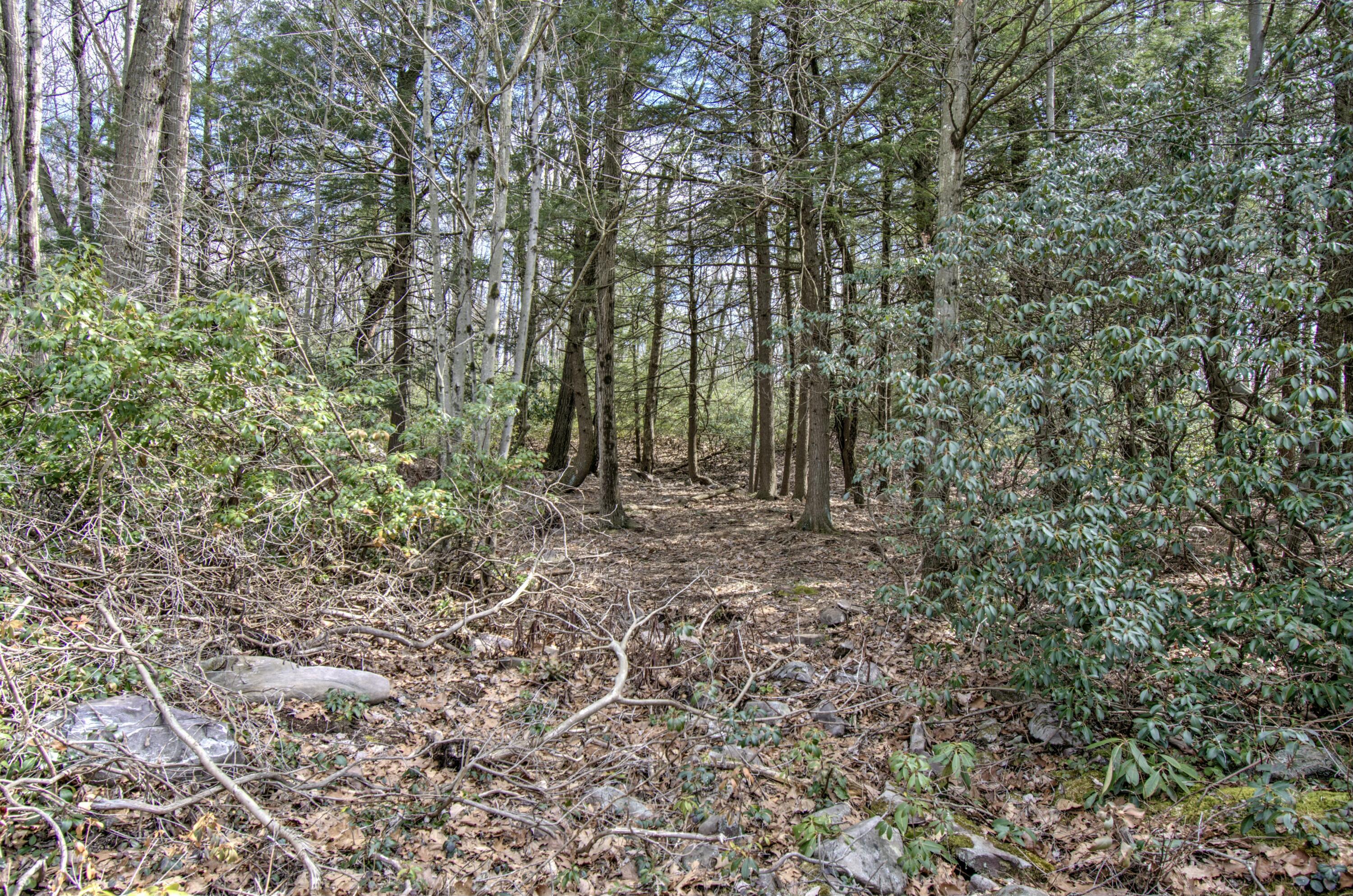 Lot 29 & 3 Stony Mountain Road, Jim Thorpe, Pennsylvania image 3