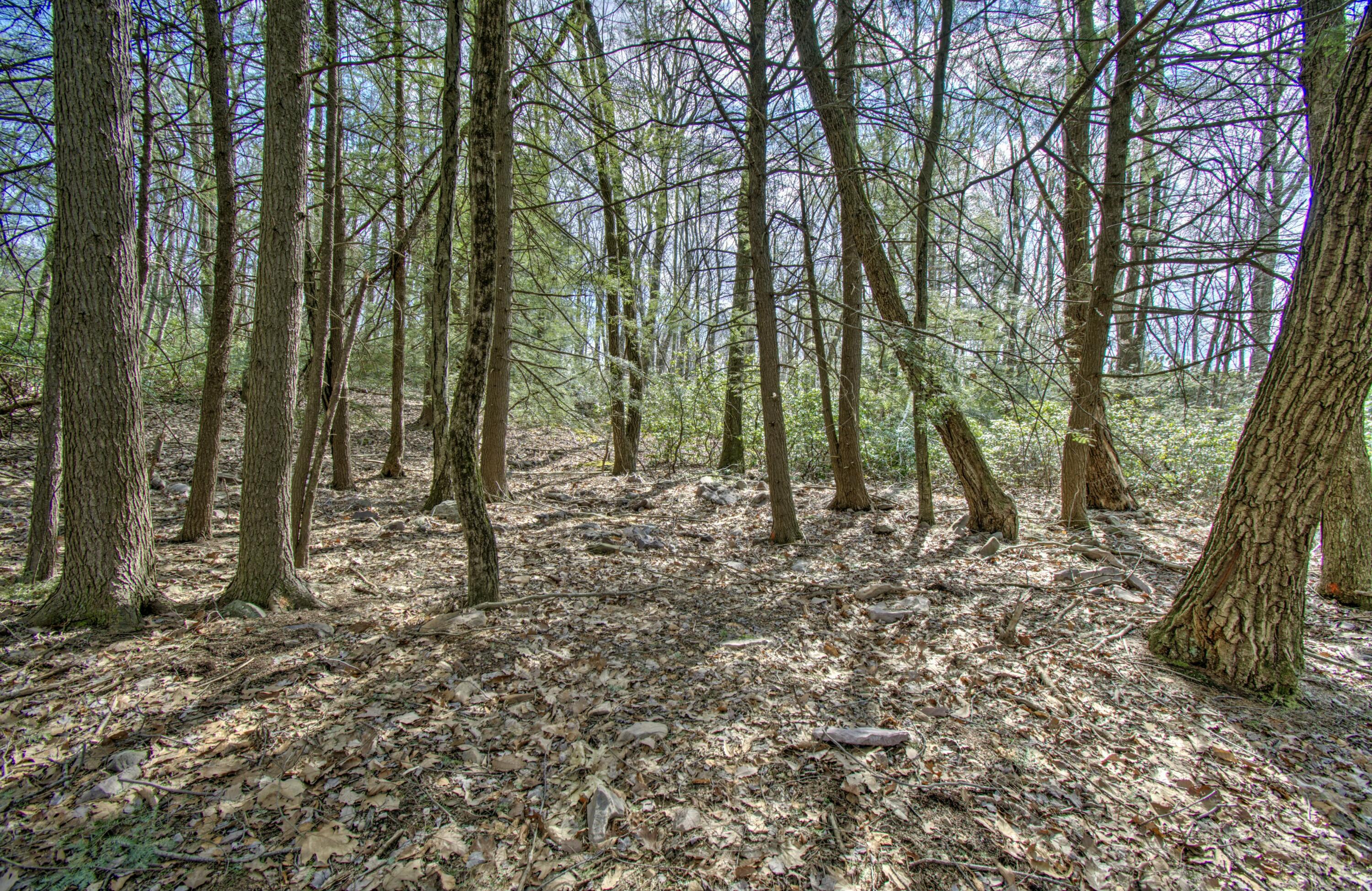Lot 29 & 3 Stony Mountain Road, Jim Thorpe, Pennsylvania image 5