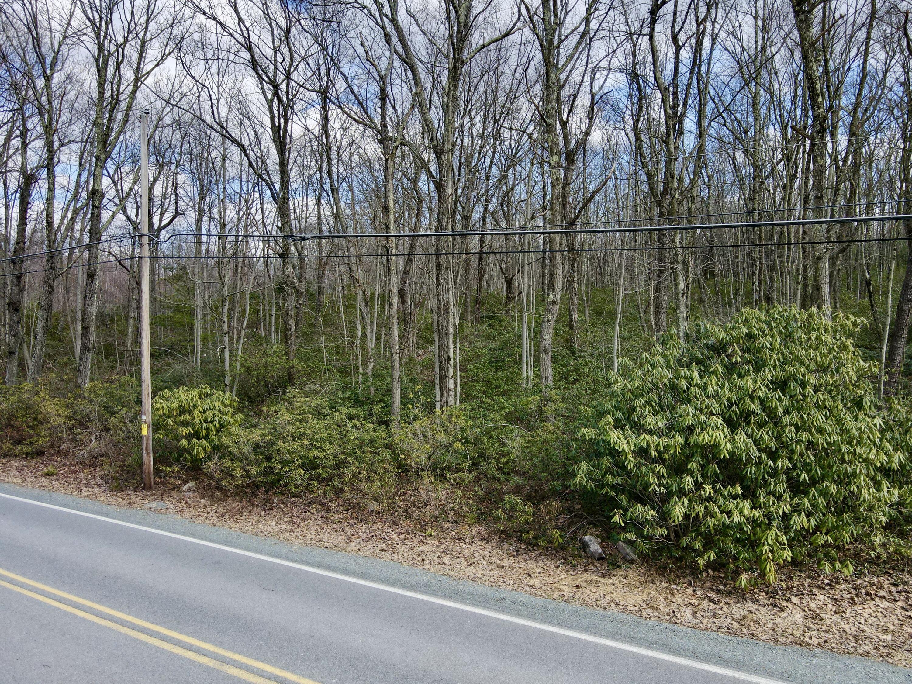 Lot 29 & 3 Stony Mountain Road, Jim Thorpe, Pennsylvania image 7