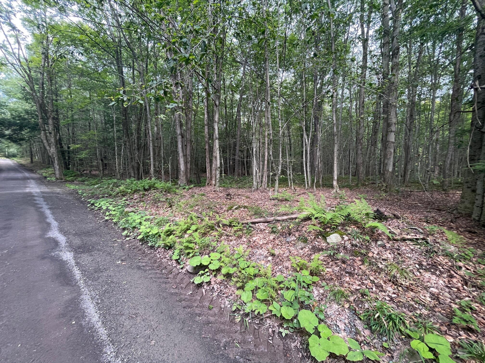 Lot 45 + Gardner Road, Newfoundland, Pennsylvania image 2