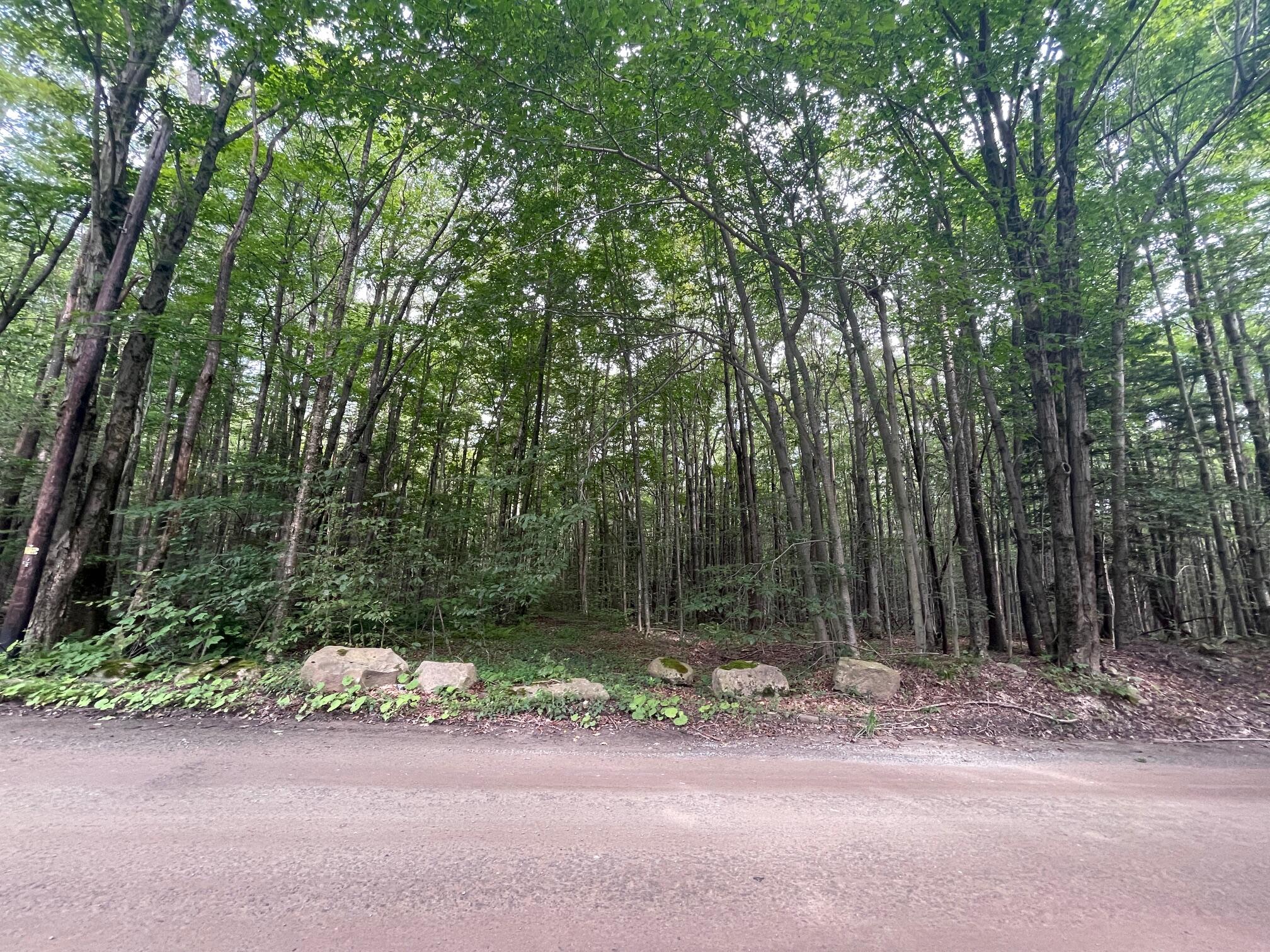Lot 45 + Gardner Road, Newfoundland, Pennsylvania image 5