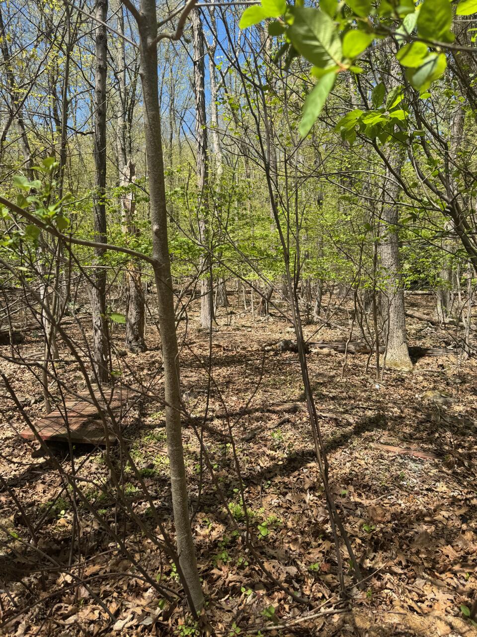Nipper Rd, East Stroudsburg, Pennsylvania image 1