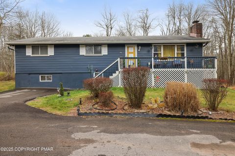 124 Shawnee Drive Pocono Lake PA 18347