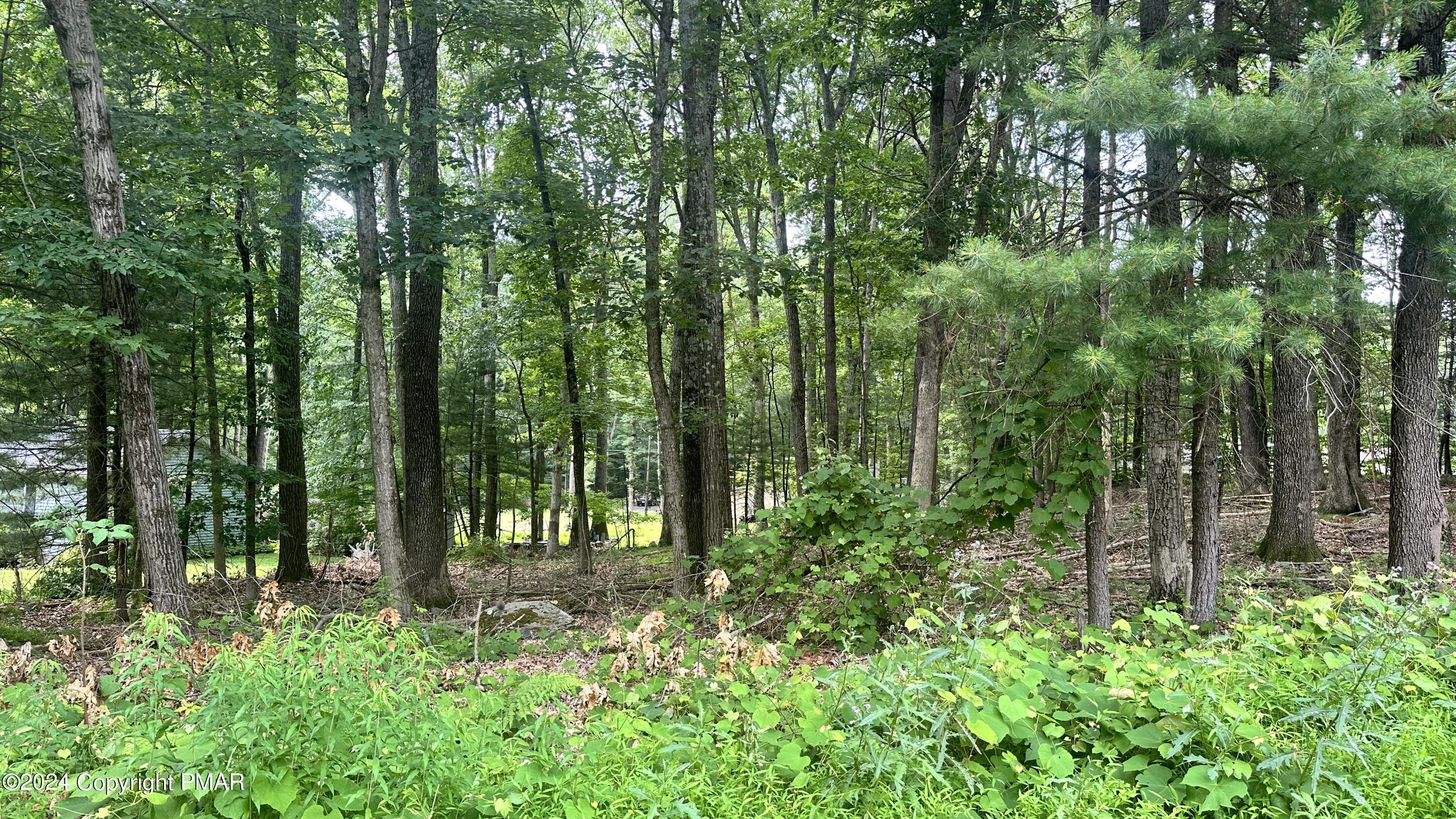 Lot 609 Mikes Road, Bartonsville, Pennsylvania image 1