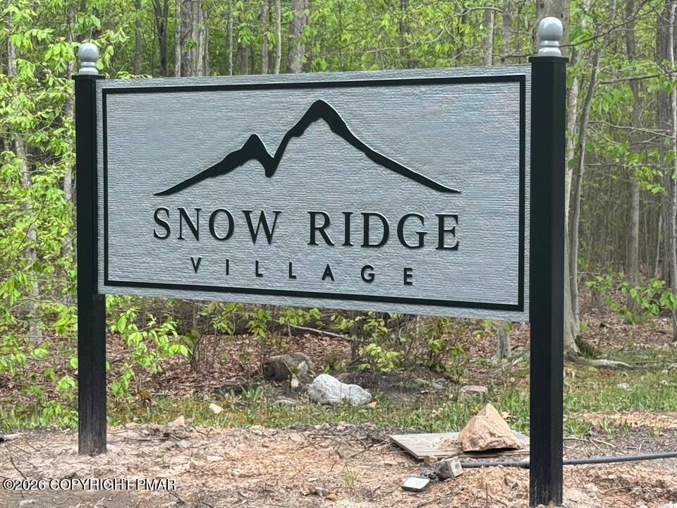 25 Snow Shoe