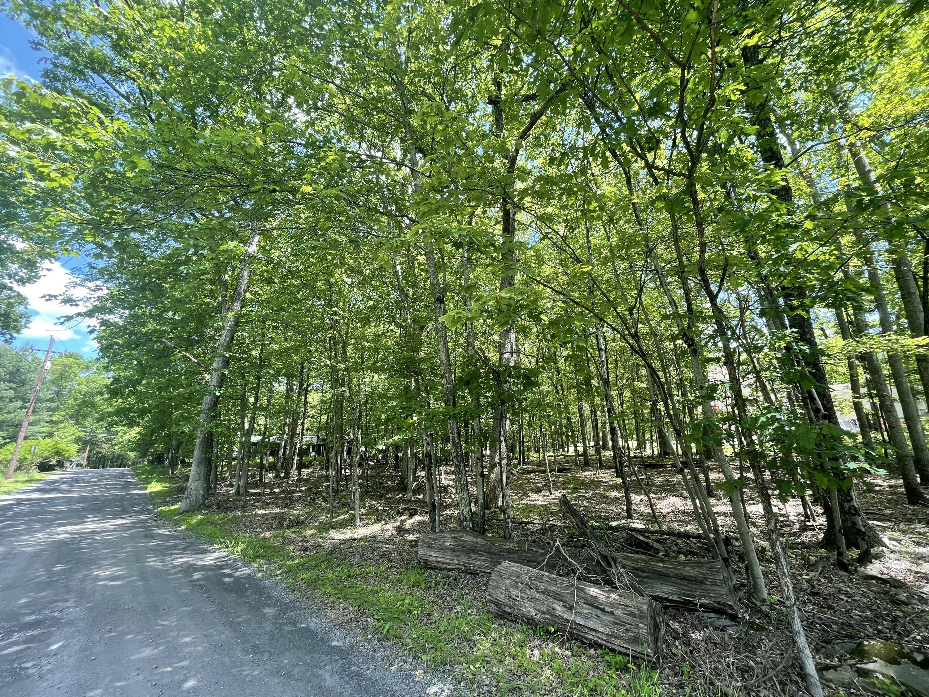 Gingerbread Lane, East Stroudsburg, Pennsylvania image 2