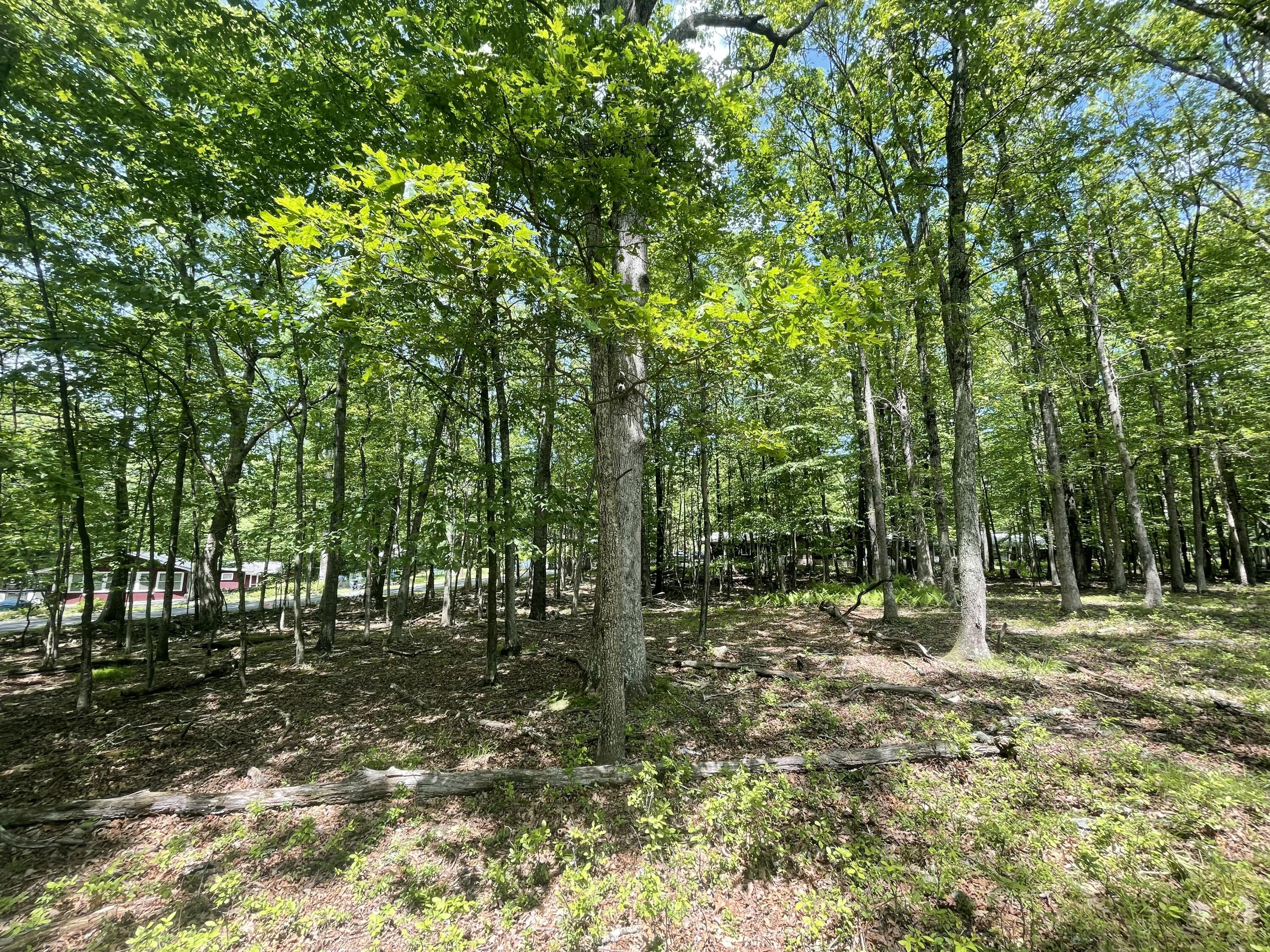 Gingerbread Lane, East Stroudsburg, Pennsylvania image 4