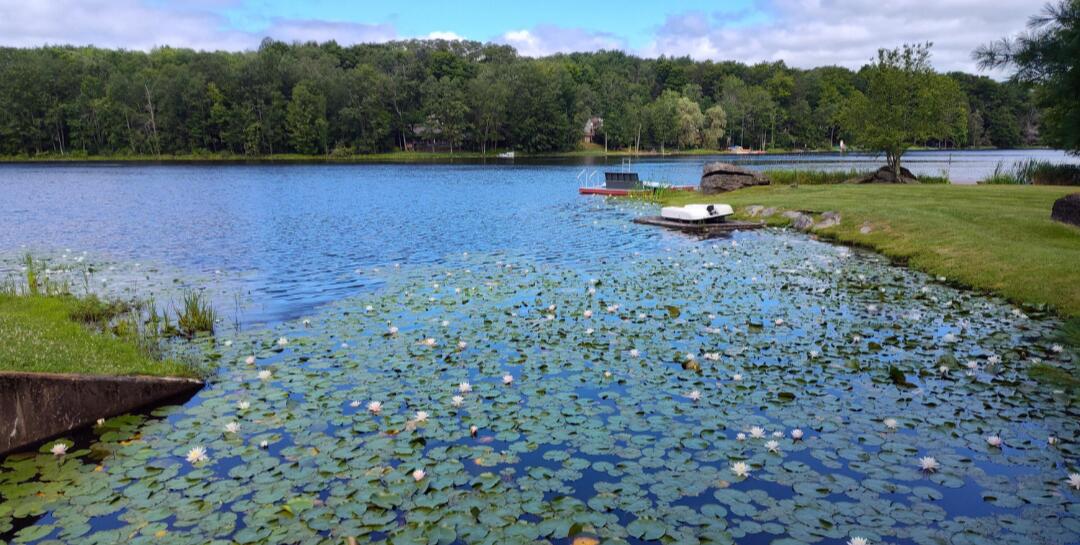 43 Underwood Lane, Lake Ariel, Pennsylvania image 6