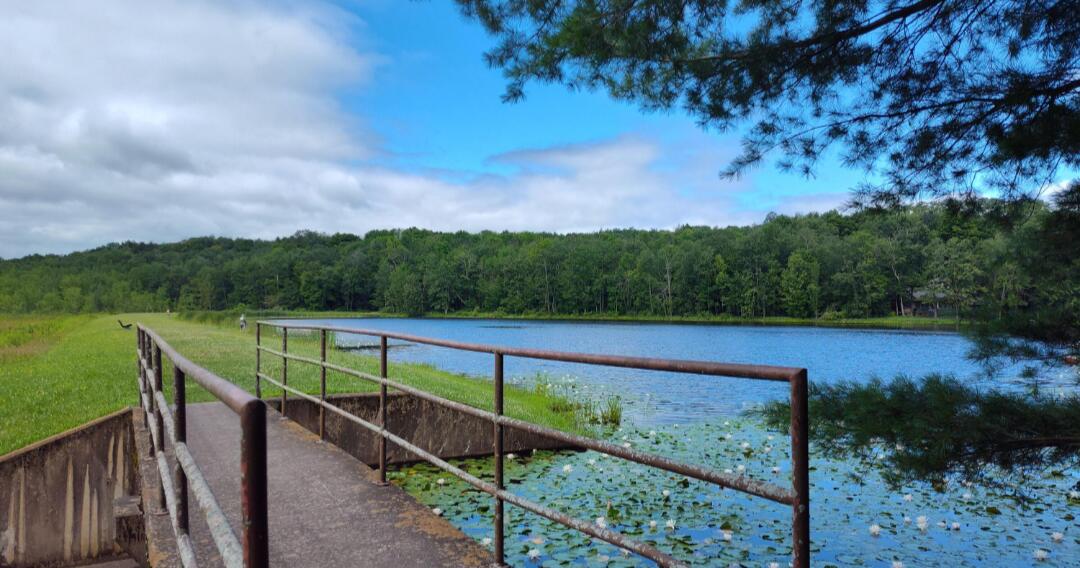 43 Underwood Lane, Lake Ariel, Pennsylvania image 5
