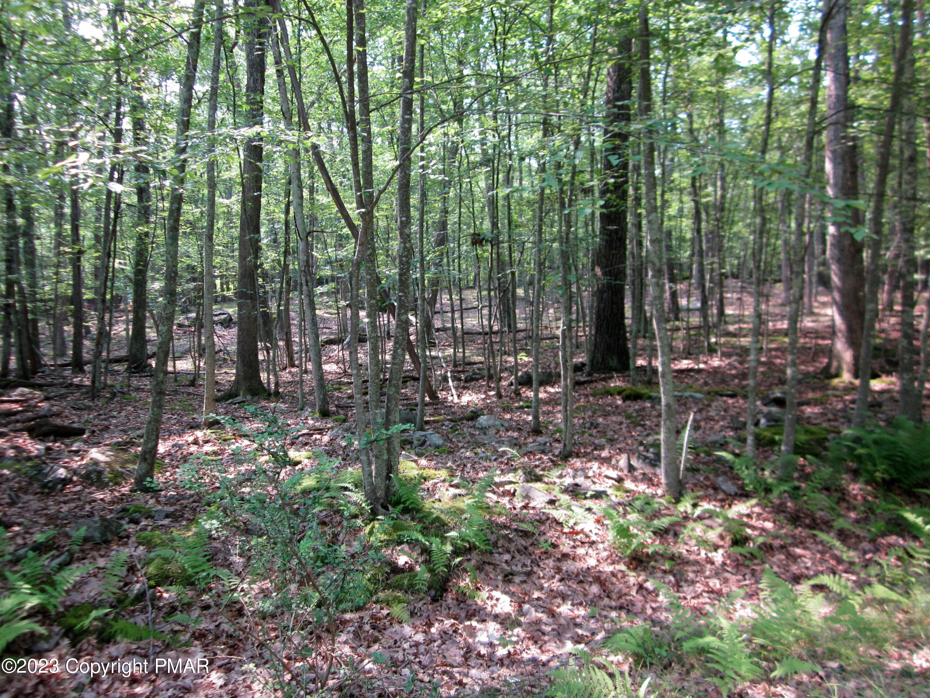 Lot # 253 Valley View Ct
