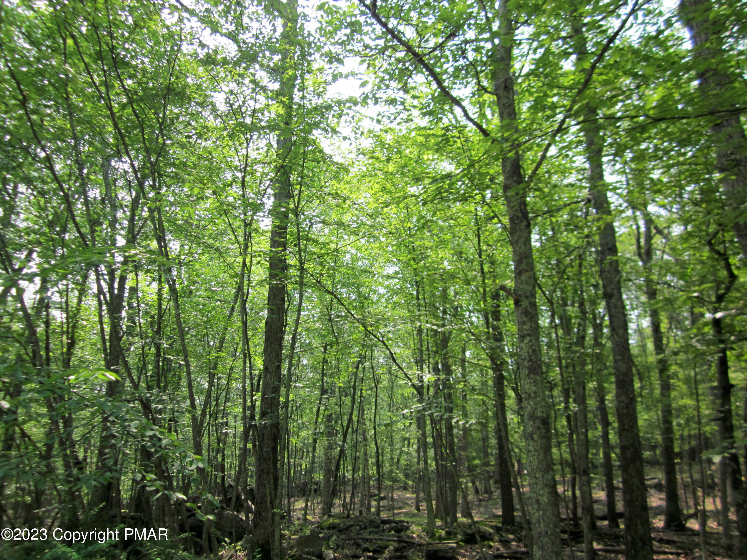 Lot # 253 Valley View Ct