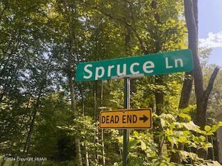 Spruce Lane, East Stroudsburg, Pennsylvania image 1