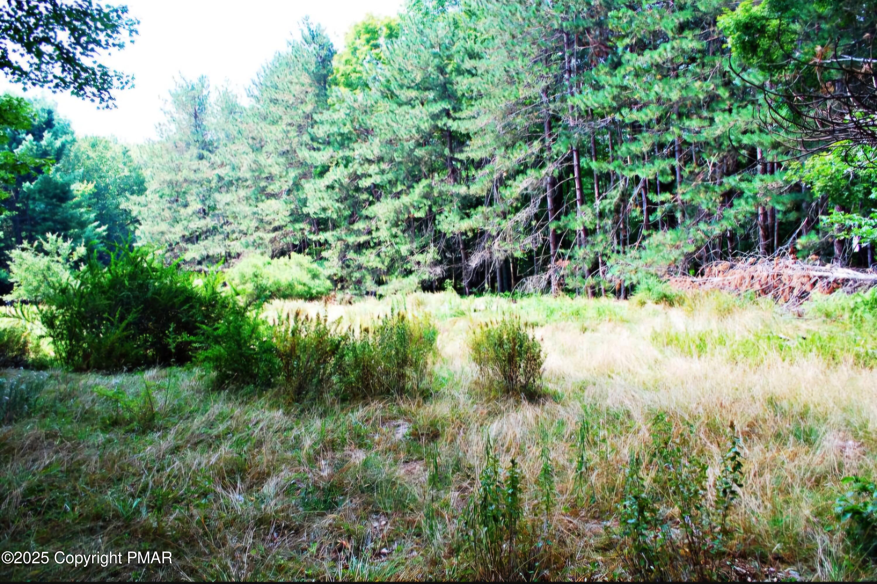 Beechnut Ln, Greentown, Pennsylvania image 13