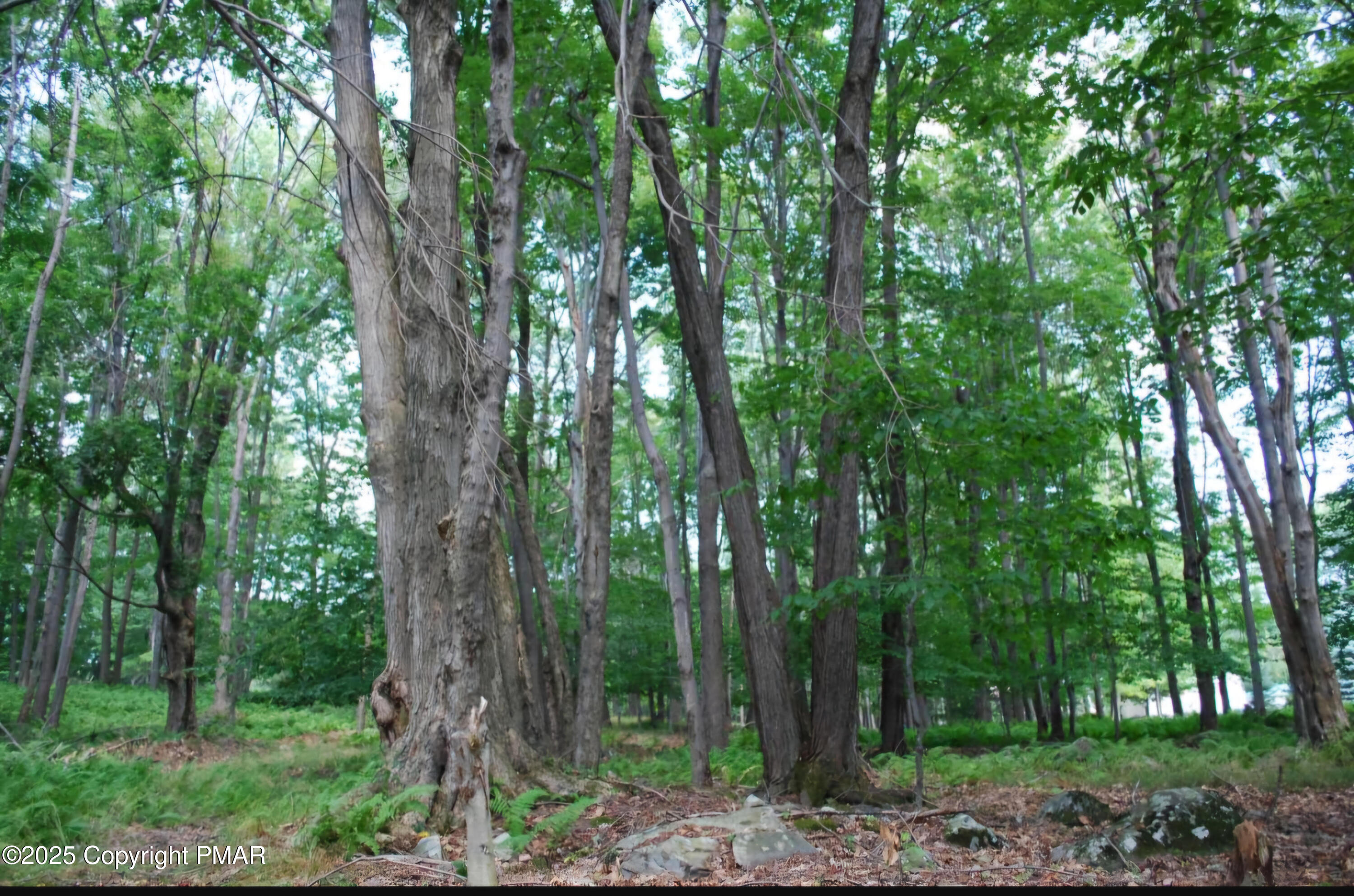 Beechnut Ln, Greentown, Pennsylvania image 2
