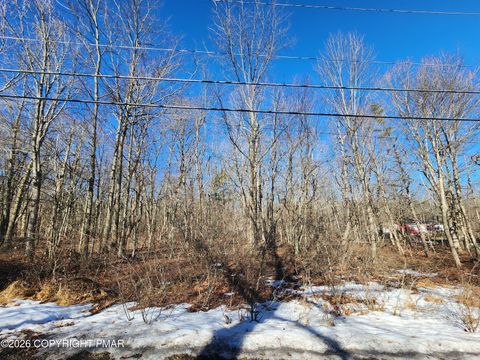 Lot G489 Panther Run Road Jim Thorpe PA 18229