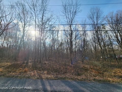 Vacant Land For Sale - LOT G489 Panther Run Road<br/> Carbon County, Jim Thorpe, PA 18229