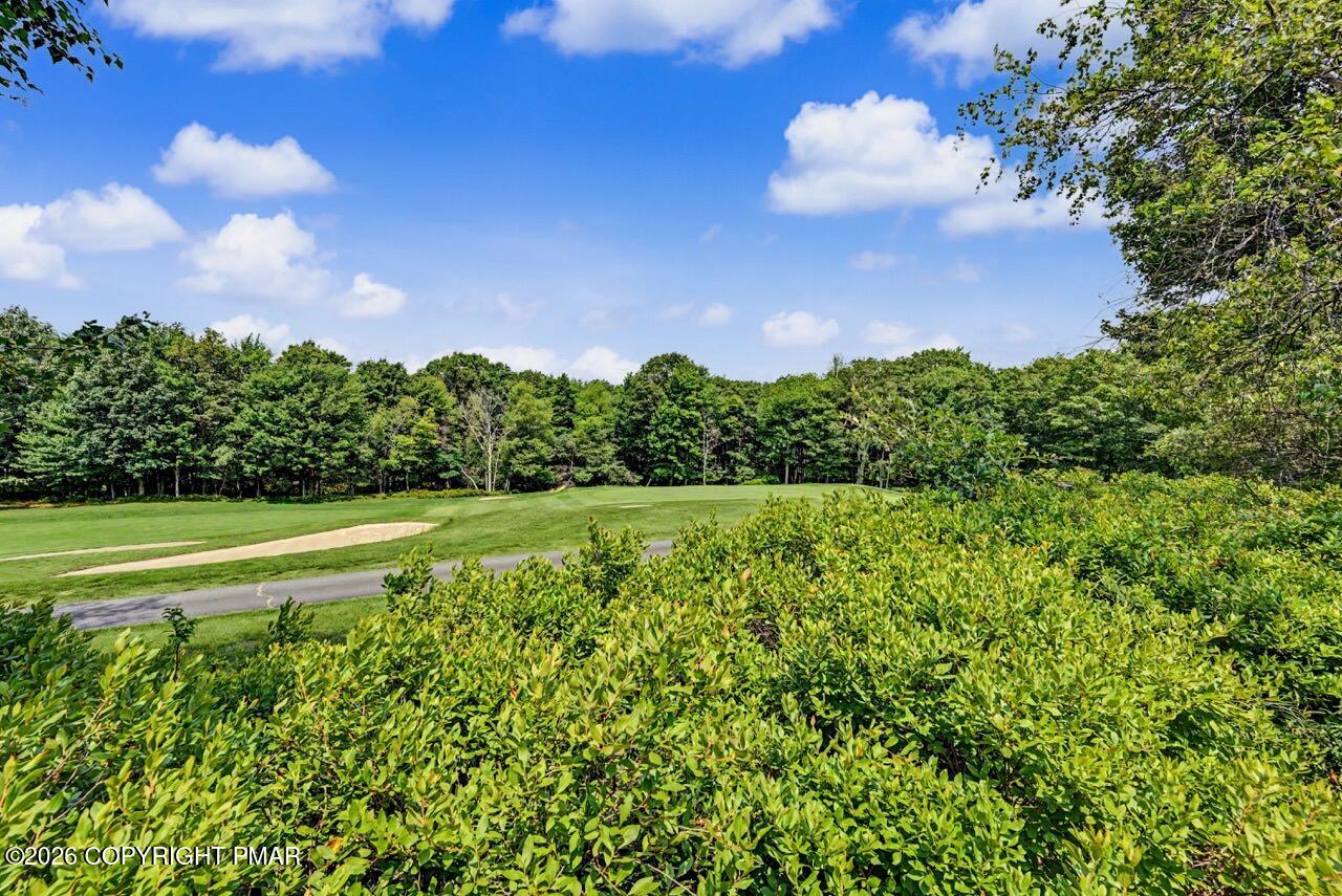 251 Wild Pines Drive