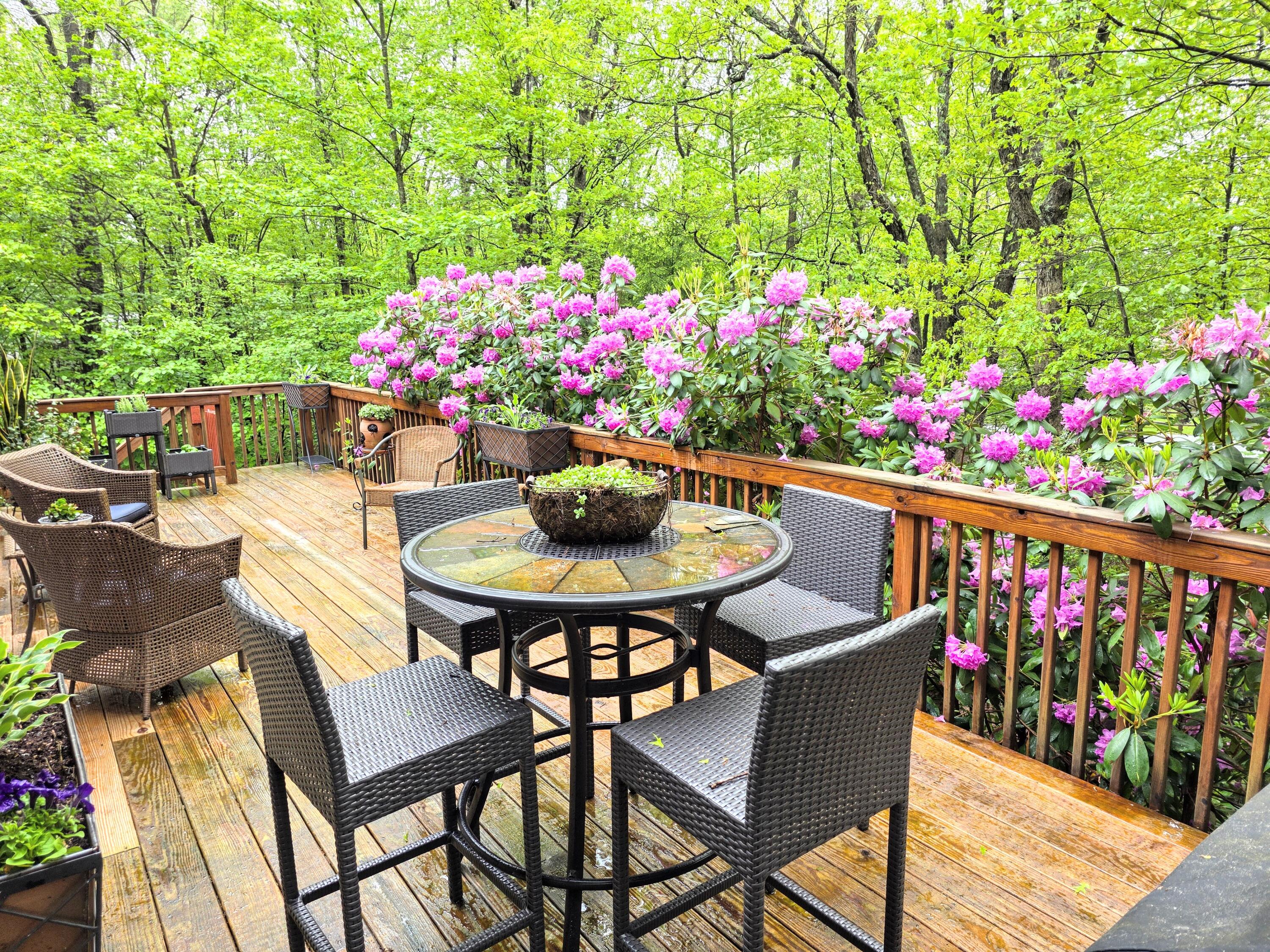 161 Piney Woods Drive, Jim Thorpe, Pennsylvania image 47