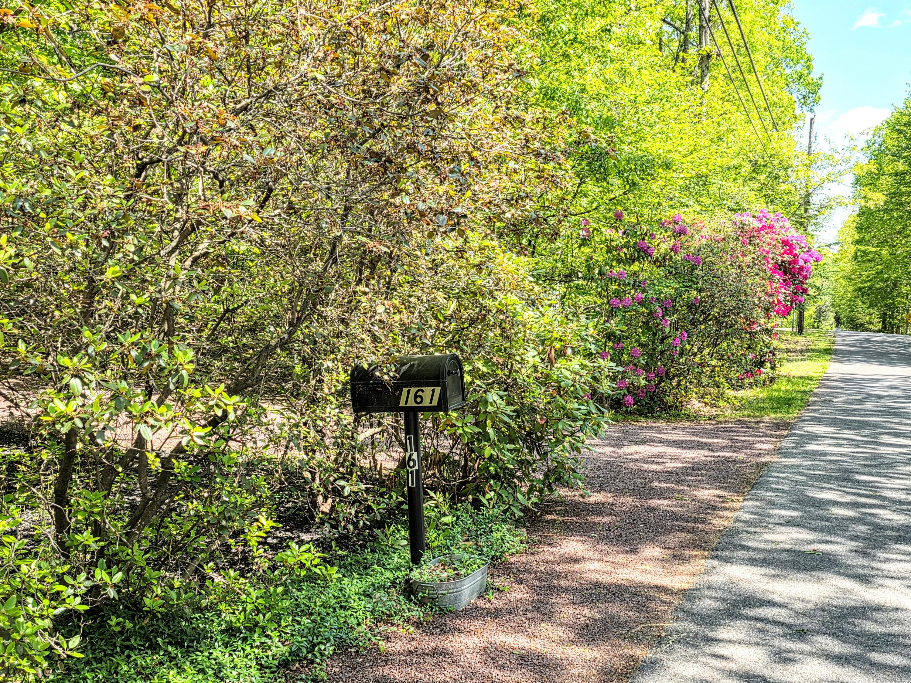 161 Piney Woods Drive, Jim Thorpe, Pennsylvania image 49